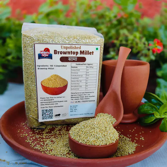 Unpolished Browntop Millet Grains l Sama