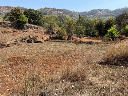 Balwad Baug Organic इंद्रायणी तांदूळ 500GM